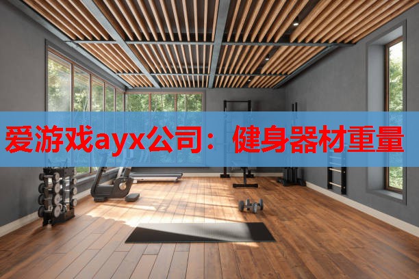 爱游戏ayx公司：健身器材重量