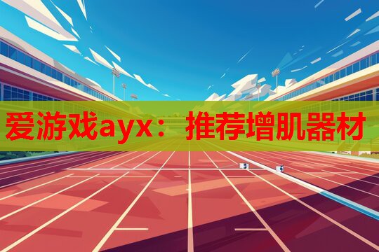 爱游戏ayx：推荐增肌器材