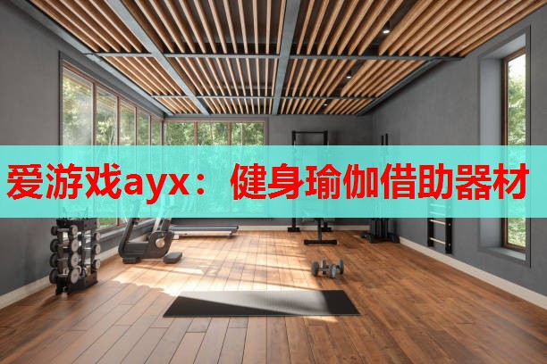 爱游戏ayx：健身瑜伽借助器材