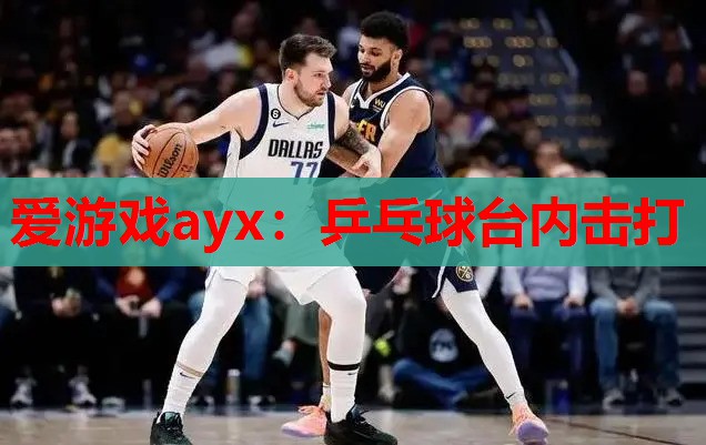 爱游戏ayx：乒乓球台内击打