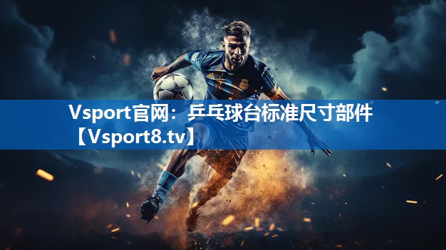 Vsport官网：乒乓球台标准尺寸部件