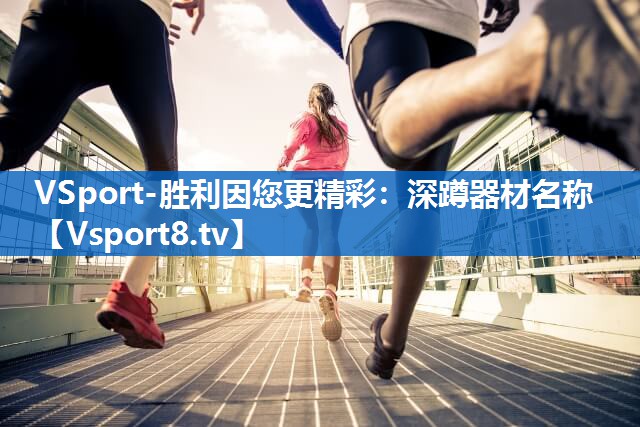 <strong>VSport-胜利因您更精彩：深蹲器材名称</strong>