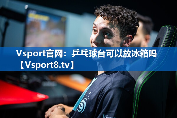 Vsport官网：乒乓球台可以放冰箱吗