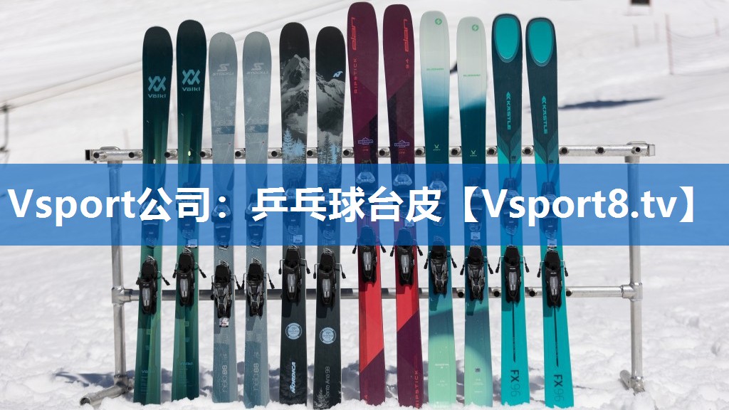 Vsport公司：乒乓球台皮