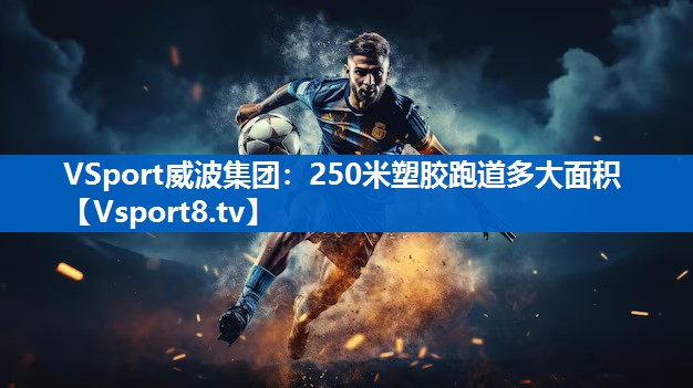 <strong>VSport威波集团：250米塑胶跑道多大面积</strong>